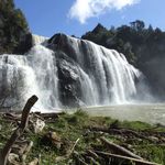 Waihi Falls