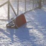 Waiting for spring