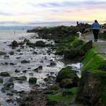 Evening Walk