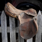 Wanted One Horse