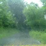 pouring rain