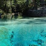 Pitt Spring, Bay County, FL