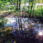 puddle abstract