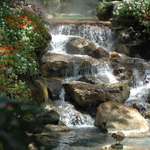 Scenic Water Fall