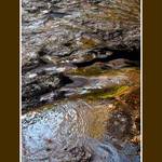 waterscape 7