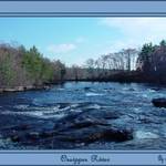 Ossippee River