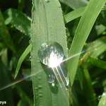 crystalline