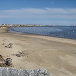 Camp Ellis Beach