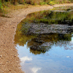 Water reflections