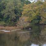 autumn on the lake