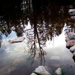 Perfect Reflection