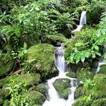 Waterfall on Wairere Waterfalls Track