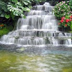 Jeju Do Water fall 2