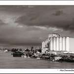 On the Waterfront