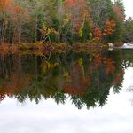 Mirror Smooth