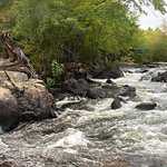 Waterscape