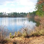 Waterscape