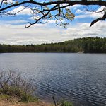 Isingglass pond
