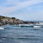 Ocean view