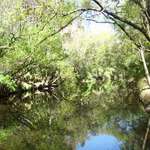 reflective image