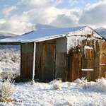My Old Shed
