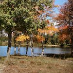 Websters Pond