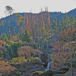 Winter Garden