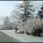 Winter in Flatland