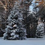 Winter Morning