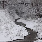 Winter Stream