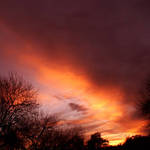 Winter Sunset