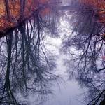 January river reflections 3