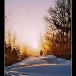 To go to meet sun