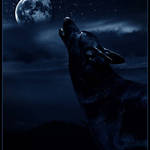 Wolf's Song