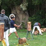 wood chopping #2