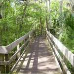 the way