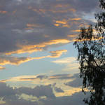 Orange Pie Sky