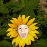Zacflower