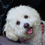 Zoe in Her Car Seat