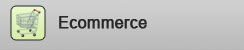 Ecommerce