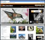 Image Content Management